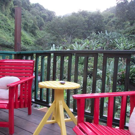 Rafjam Bed & Breakfast Kingston Esterno foto