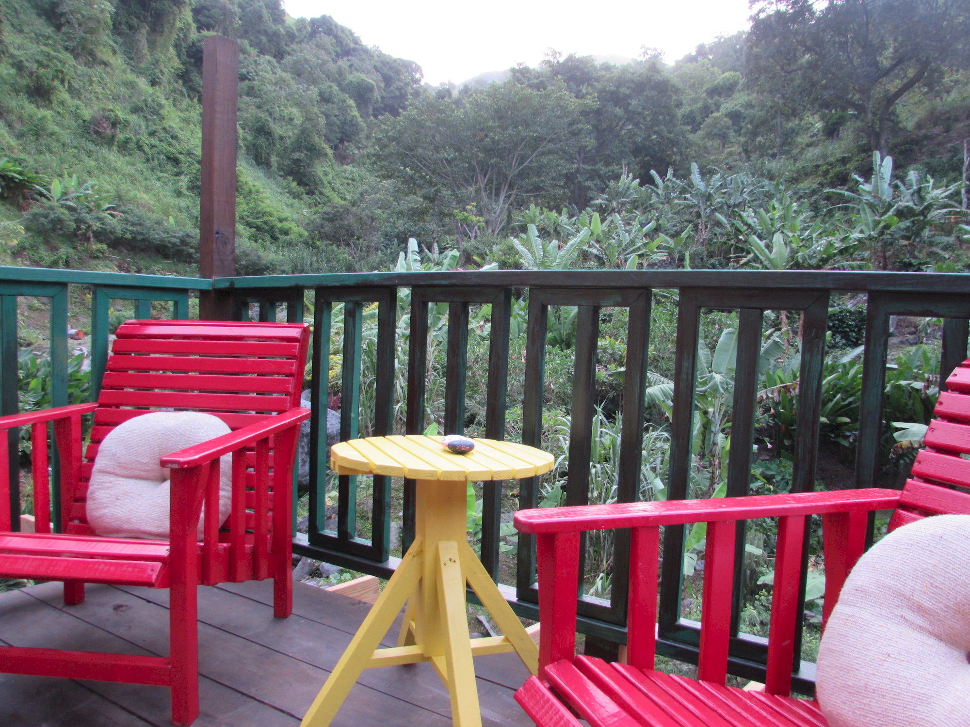 Rafjam Bed & Breakfast Kingston Esterno foto