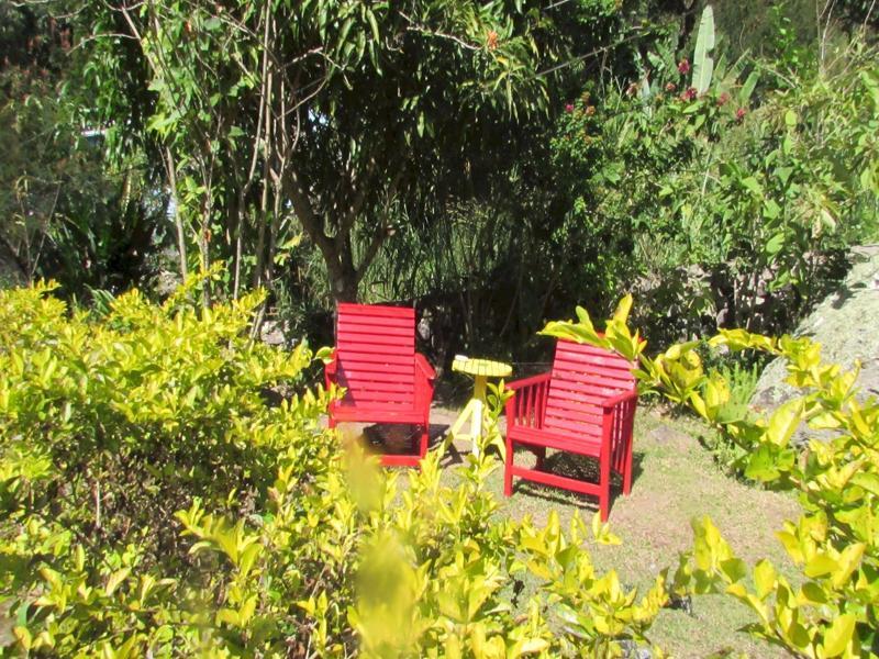 Rafjam Bed & Breakfast Kingston Esterno foto